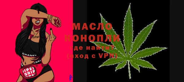 тгк Абаза