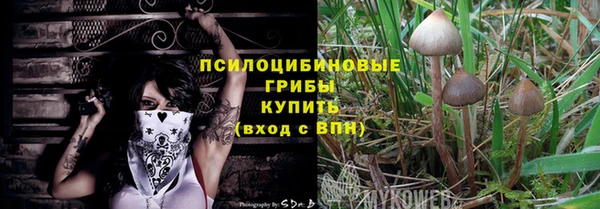дживик Белая Холуница