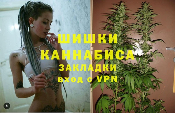 тгк Абаза