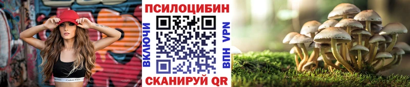 закладка  Североморск  Псилоцибиновые грибы GOLDEN TEACHER 